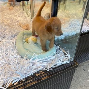 Meet your Posher, Faith